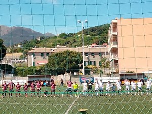MULTEDO AUDACE