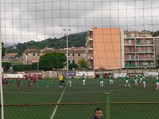 MULTEDO CAMPESE