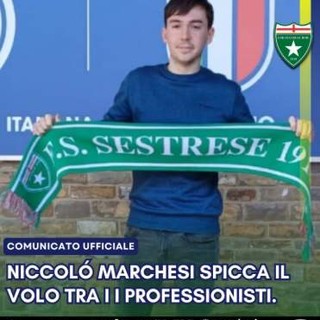 SESTRESE Niccolò Marchesi spicca il volo verso i Prof