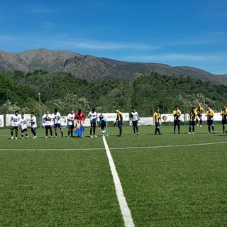 MELE RECREATIVO