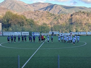 MELE RECREATIVO MELE RECREATIVO