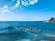 NUOTO A Sestri Levante il Campionato Regionale di Mezzofondo NUOTO A Sestri Levante il Campionato Regionale di Mezzofondo