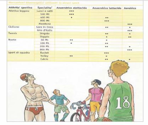 tratto da “per dare il massimo, nutrirsi al meglio” regione emilia-romagna