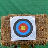 Tiro con l’arco, De Sanctis (Cip): Dispiacere per Bonacina atleta, ma giustizia faccia suo corso
