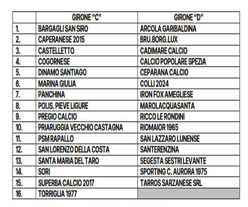 PRIMA CATEGORIA C-D Ecco i gironi PRIMA CATEGORIA C-D Ecco i gironi