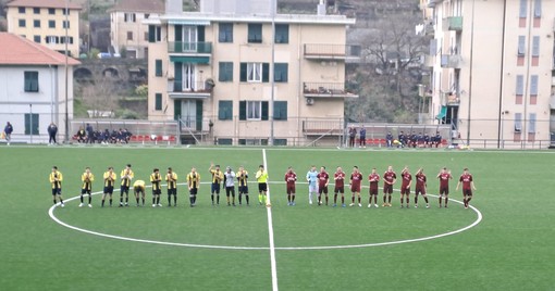 PONTEX MELE PONTEX MELE