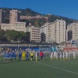 pegliese audace