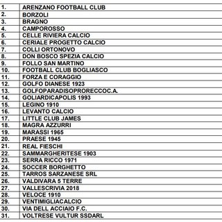 PROMOZIONE Ci saranno due gironi da 15