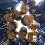 CALCIO GIOVANILE I Bambini della PSM Rapallo sono pronti a iniziare una nuova stagione