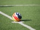 CALCIO PROF I pronostici per il week end CALCIO PROF I pronostici per il week end