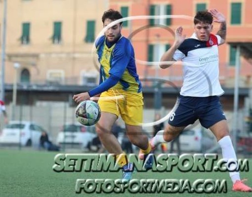 PICCARDO DELLA VOLTRESE