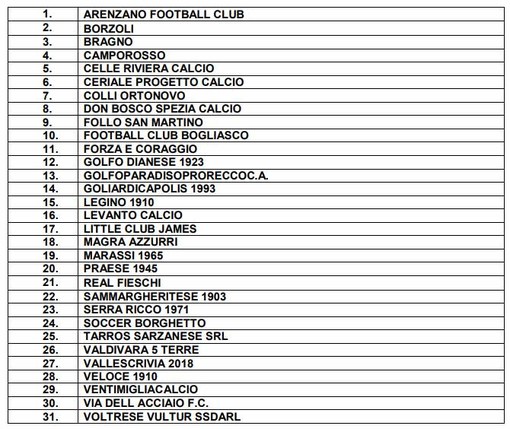 PROMOZIONE Ci saranno due gironi da 15