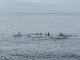 PALLANUOTO Sabato e domenica prossimi  il 21° Torneo del Mare–Trofeo Panarello