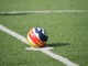 Serie D, il programma del week end