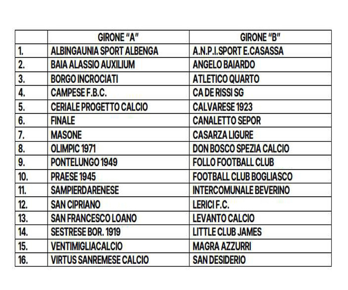 PROMOZIONE Ecco i due gironi