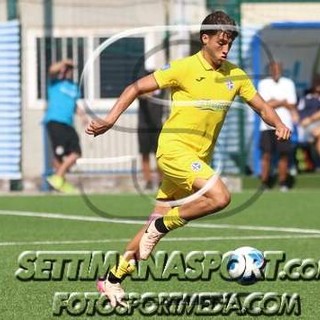 MARCO PASTORE DEL LIGORNA