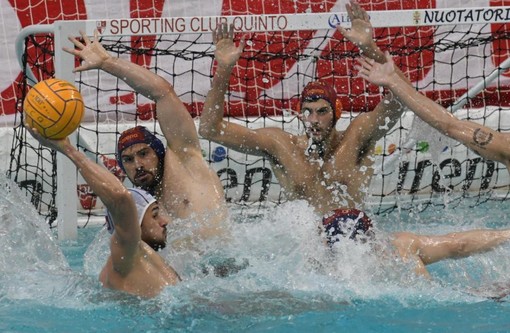 Pallanuoto A1 / Iren Quinto sconfitto dalla Roma Nuoto