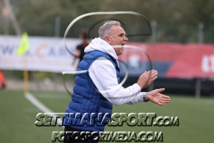 PRIMA D TOP 11 PRIMA D TOP 11