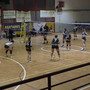 Pallavolo - La Rainbow Spezia ricomincia dal Quiliano Pallavolo - La Rainbow Spezia ricomincia dal Quiliano
