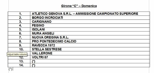 Seconda C, ad oggi solo 12 squadre iscritte Seconda C, ad oggi solo 12 squadre iscritte