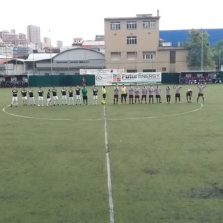Superba-Multedo