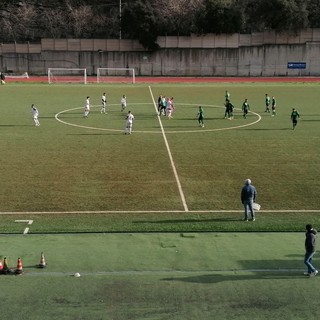 Superba vs Sanbe