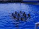 PALLANUOTO/BOGLIASCO Vittoria importante e sconfitta onorevole per l'Under 18 maschile