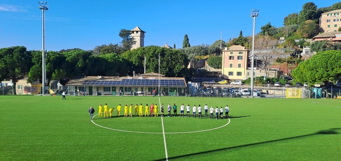 Vecchio Castagna - Pieve Ligure