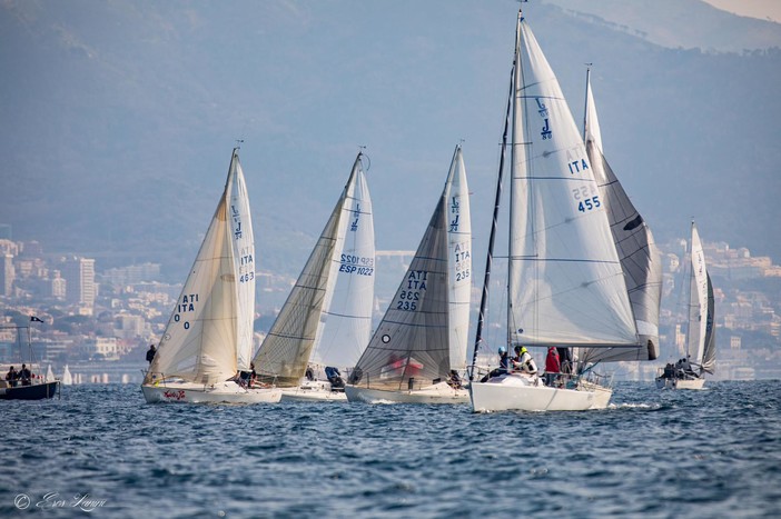 VELA 31° Campionato Intercircoli: sorridono Imxtinente, Adrigole, Joke e Jaws