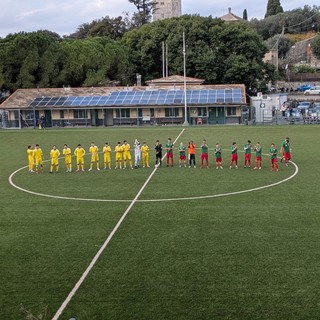 Vecchio Castagna - Borgoratti