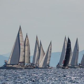 VELA Domenica scatta l’8° Campionato della Lanterna