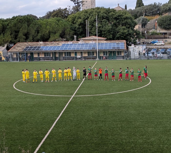 Vecchio Castagna - Borgoratti