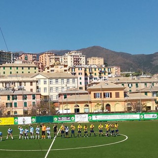 VOLTRI MELE